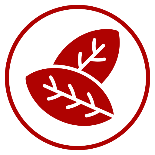 Alt Image